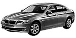 BMW F10 P0183 Fault Code